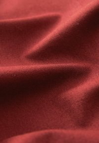 Next LONG SLEEVE OXFORD REGULAR FIT - Majica - burgundy red