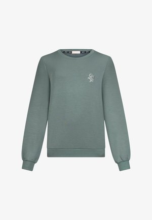 Sweat-shirt vert en tissu lisse, avec un col rond, des manches longues à poignets côtelés, et un petit logo brodé sur la poitrine.