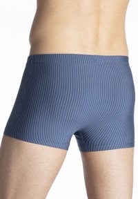 Costumi da bagno da uomo in navy con strisce verticali bianche, caratterizzati da un design aderente e una vita elastica, realizzati in tessuto elasticizzato.