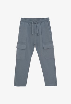 Pantalones cargo grises con cintura elástica, cordón, bolsillos laterales y bolsillos de solapa en cada muslo, extendidos sobre un fondo blanco.