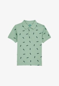 Pasirinkta, mint green