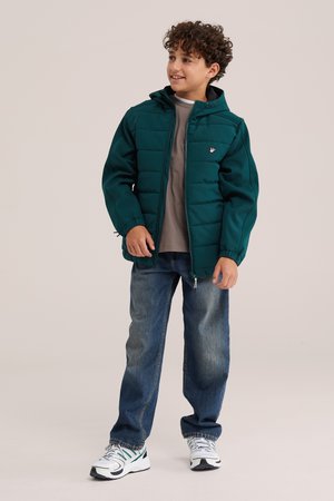 WE Fashion, WE FASHION - Zimná bunda - dark green