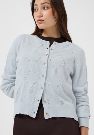 Jeune femme aux cheveux raides et foncés, portant un cardigan tricoté bleu clair boutonné sur un haut sombre, regardant vers sa droite.