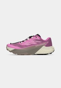 Chaussures de trail en rose et gris. Dotées d'une tige en mesh, d'une semelle texturée, de lacets élastiques et d'un logo distinct sur le côté. La semelle intermédiaire présente un design unique.