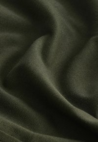 Next STRETCH OXFORD SHORT SLEEVE REGULAR FIT - Marškiniai - khaki green