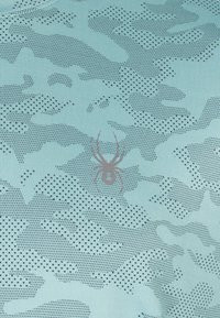 Spyder Langærmet T-shirt - green