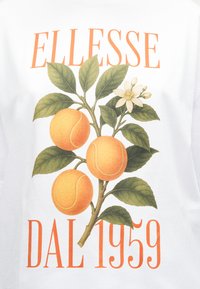Κλαδί με πράσινα φύλλα, λευκό άνθος και τρεις πορτοκαλί μπάλες του τένις πάνω από το κείμενο "ELLESSE" και "DAL 1959" με πορτοκαλί γραμματοσειρά σε λευκό ύφασμα.