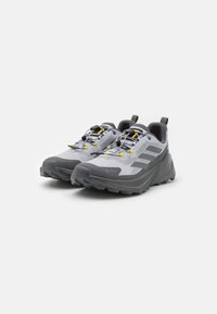 Adidas Terrex TERREX TRAILMAKER 2 GORE-TEX X NATGEO - Fjellsko - halo silver/grey four/grey six