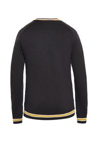 DreiMaster CO-BRANDED WITH BOLINE - Strickpullover - schwarz