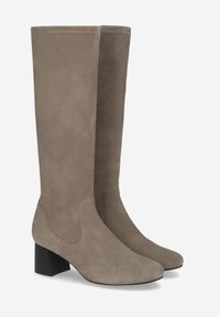 Bottes en daim taupe, hautes, avec un bout carré et un talon épais. Texture lisse avec des coutures minimales et aucun matériel visible.