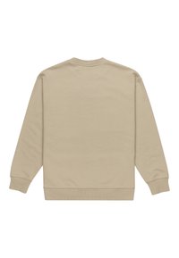Beige sweatshirt med långa ärmar, rundad halsringning och ribbade muddar. Mjuk, slät tyg med inga synliga logotyper eller mönster, enkel bakvy.