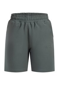Pantalones cortos deportivos grises con una cinturilla elástica, confeccionados en una tela suave con un ligero brillo, que presentan un logo sutil bordado en el lado.