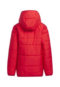 adidas Performance Winterjas - light red