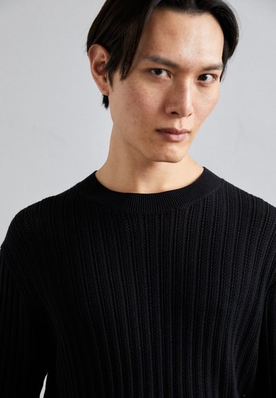 Won Hundred RYDER POINTELLE - Pullover - black
