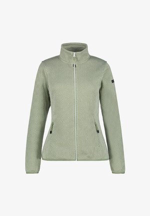 Lichtgroene jas met rits en geometrisch patroon, hoge kraag, lange mouwen en ritszakken aan de zijkanten.