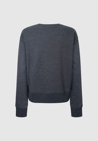 Felpa grigia a maniche lunghe con collo a giro, polsini e orlo a costine. Texture liscia senza loghi o decorazioni visibili. Vista posteriore.