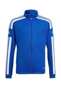 Blauwe jack met rits, gemaakt van gladde stof, met witte strepen die langs de mouwen lopen en een geborduurd logo op de schouder.