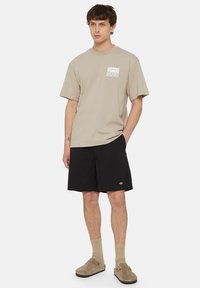 Dickies FINCASTLE - Shorts - black