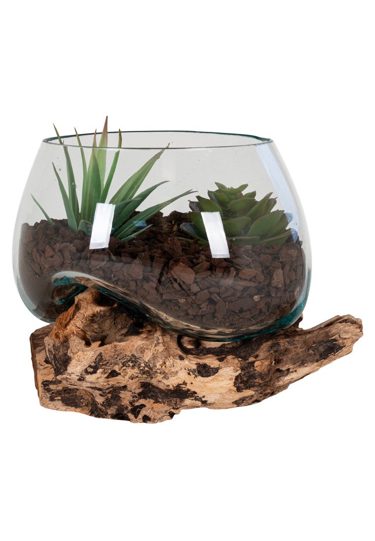 Terrarium en verre rond avec une base en bois texturé, contenant des succulentes vertes et du paillis d'écorce brun, mettant en avant des matériaux organiques et des formes naturelles.