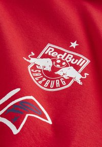 Rød stof med et hvidt logo bestående af to tyre, en fodbold og teksten "Red Bull Salzburg" nedenunder, prydet med en hvid stjerne ovenfor.