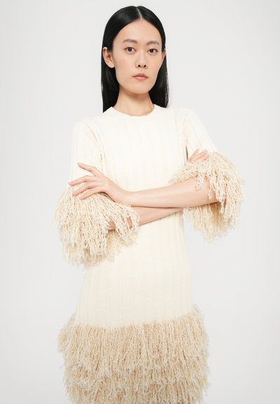 Robe en tricot crème avec une texture côtelée, dotée d'accents frangés sur les manches et l'ourlet. La robe s'adapte près du corps avec un col rond.