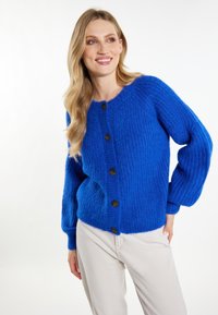 Cardigan blu in maglia con maniche a sbuffo lunghe, texture a coste e bottoni marrone scuro. Indossato sopra pantaloni beige chiaro.