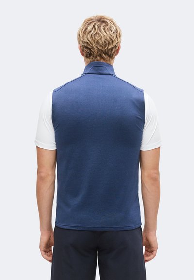 Homme aux cheveux blonds courts portant un gilet sans manches bleu par-dessus une chemise blanche à manches courtes, vu de dos sur un fond uni.