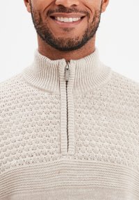 Creeks AMERICAN INSPIRATION FASHION  COOL TRUCKER-KRAGEN UND REISSVERSCHLUSS - Strickpullover - gris clair