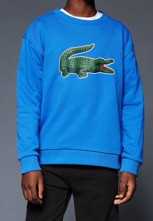 Felpa blu con polsini e orlo a costine, con una grafica di un coccodrillo verde sulla parte anteriore. Il tessuto appare morbido con una texture accogliente.