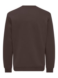 Brun sweatshirt med rund halsudskæring, lange ærmer og ribstrikkede manchetter og kant. Glat stoftekstur uden synlige logoer eller mønstre.