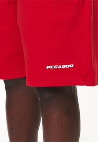 Pegador LOGO - Shorts - washed red/white gum