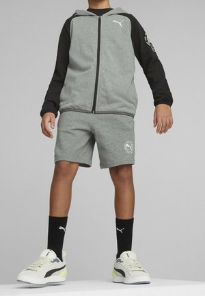 Puma, Sweat zippé - grey