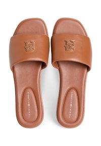 Καφέ συνθετικά σαγιονάρες με ευρύ λουρί που φέρει χρυσό λογότυπο, υφή στο πέλμα και λεία επιφάνεια. Δεν φαίνονται λεπτομέρειες στην εξωτερική σόλα.