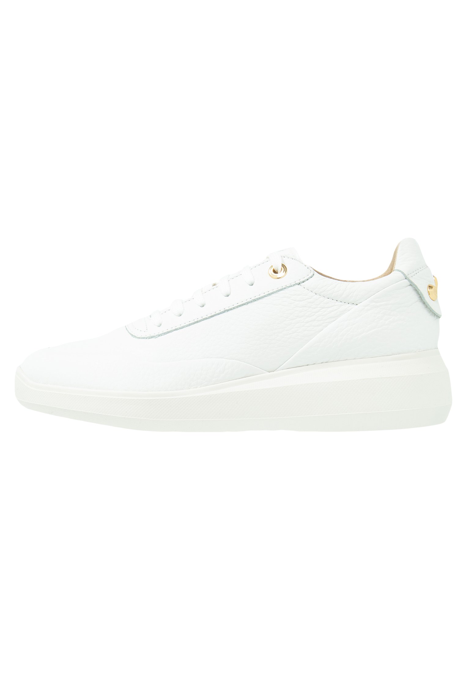 zalando geox sneakers