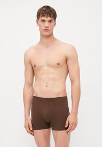Pier One by Zalando - 10 PACK - Trunks - brown/light grey/black Thumbnail Image 1