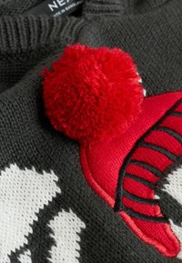 Dunkelgrüner gestrickter Pullover mit einem weißen und roten bestickten Design und einem auffälligen roten Pompon an der Schulter.