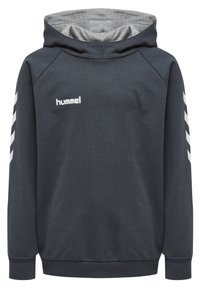 Hoodie in donker marineblauw met een contrasterende grijze binnenvoering. Voorzien van een wit logo en witte chevronstrepen op de mouwen.