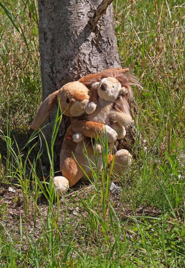 Kuscheltier – braun