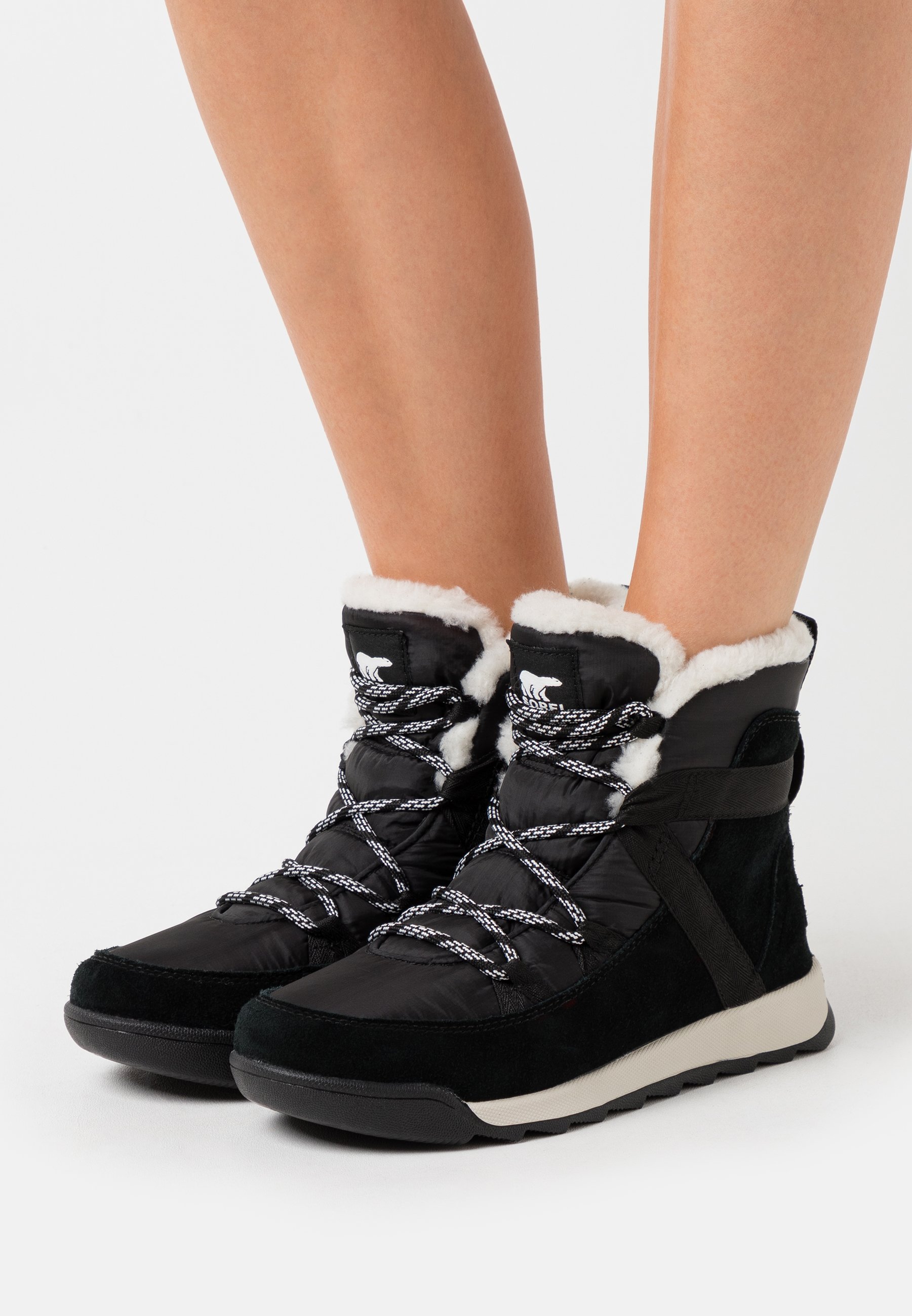 whitney ii flurry sorel