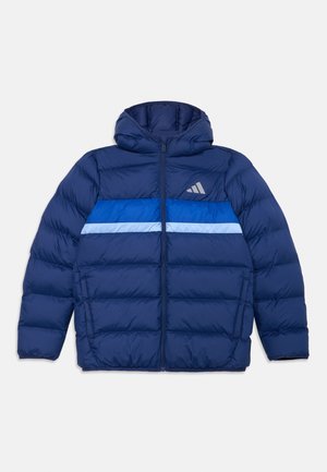 JACKET JUNIOR UNISEX - Zimska jakna - dark blue/team royal blue/glow blue