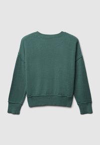 Maglione verde realizzato in tessuto testurizzato. Presenta un collo a girocottero a costine, spalle basse e polsini e orlo a costine. Design semplice, vista posteriore.