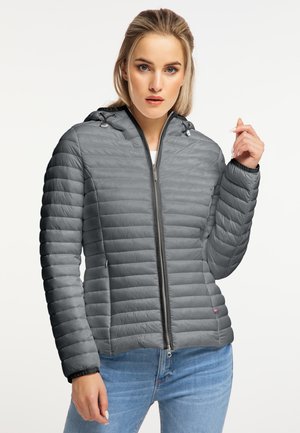 GESTEPPTE FRIDAY - Winter jacket - grayish