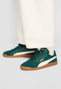 Zielone zamszowe i skórzane trampki z białymi akcentami, gumową podeszwą i teksturowanym wykończeniem, wyposażone w sznurówki oraz złote oznaczenia.