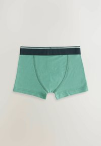 Next 5 PACK - Panties - green dino stripe