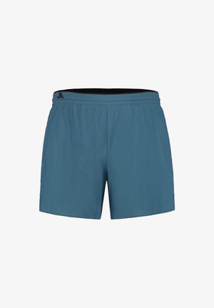 Blaue Sportshorts aus leichtem Material, mit einem elastischen Bund und einer glatten Textur. Minimalistisches Design ohne Muster.