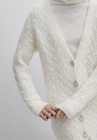 Massimo Dutti Kardigan