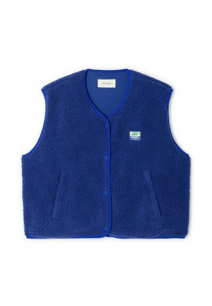 Modrá fleecová vesta s textúrovaným povrchom, prednými gombíkmi, dvoma bočnými vreckami a malou značkovou nášivkou na ľavej hornej strane.
