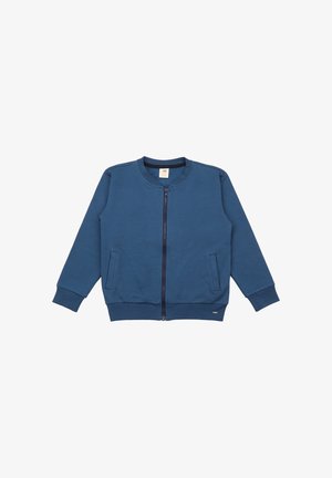 Blue zip-up sweatshirt with a round neckline, ribbed cuffs and hem, and two front pockets. Soft fabric with a smooth texture.