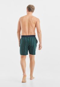 Randiga badshorts i marinblått och grönt med elastisk midja, med vertikala ränder och sidfickor. Visad bakvy.