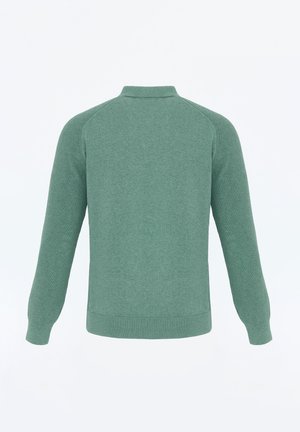 Groene trui met lange mouwen en geribbelde manchetten, zoom en kraag, vanuit de achterkant weergegeven op een effen witte achtergrond.